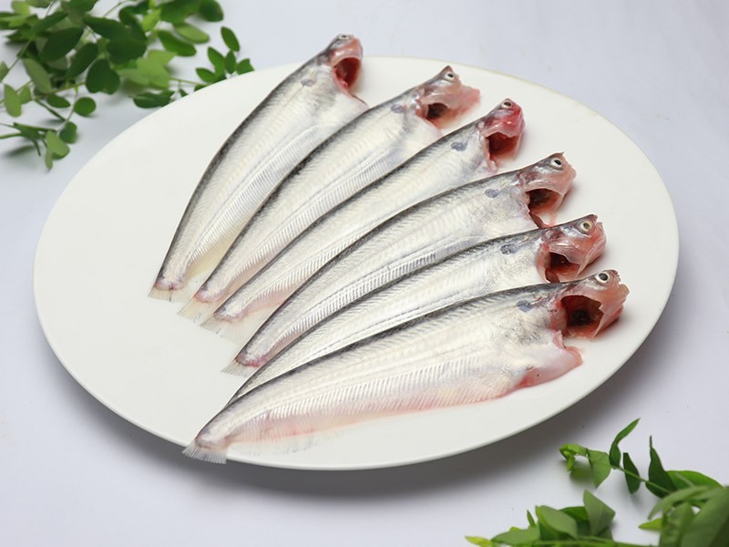 Pavo  / Pabda  Fish 