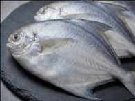 Seafood - fresh seafood delivery in Guwahati